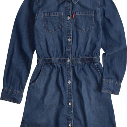 Levi's® Kids Fit and Flare Dress (Little Kids)